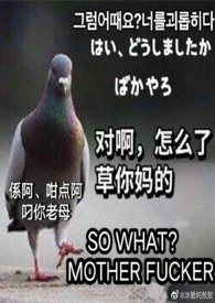 [综英美] 超英动物园