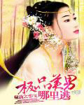 卧底宠妃（高h）
