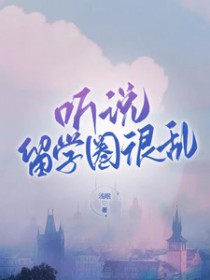 消失的蝴蝶发夹