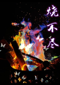 穿越千年：追爱太子